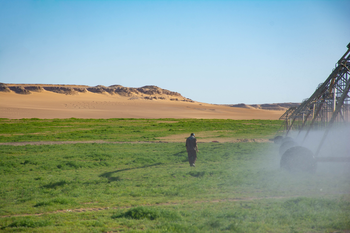 let-assortiment-banners